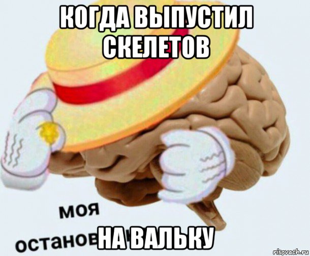 когда выпустил скелетов на вальку, Мем   Моя остановочка мозг