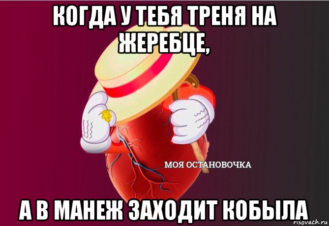 когда у тебя треня на жеребце, а в манеж заходит кобыла, Мем   Моя остановочка