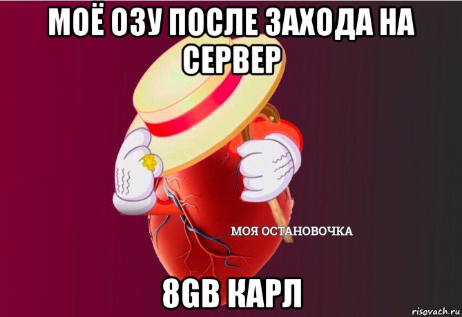 моё озу после захода на сервер 8gb карл, Мем   Моя остановочка