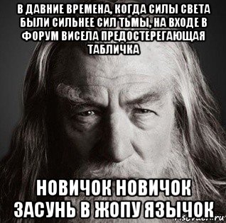 в давние времена, когда силы света были сильнее сил тьмы, на входе в форум висела предостерегающая табличка новичок новичок засунь в жопу язычок, Мем  Гендальф-мудрец