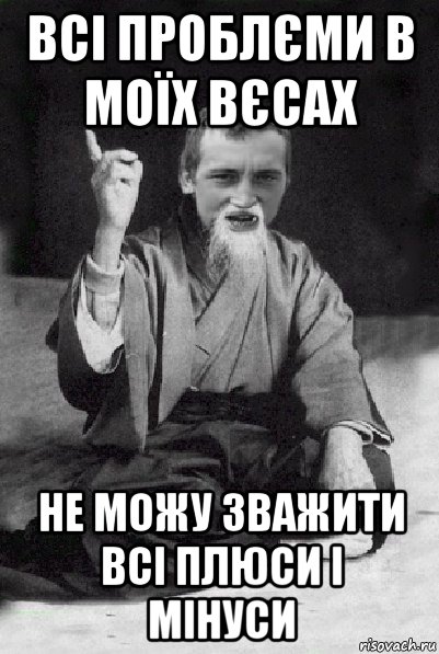 всі проблєми в моїх вєсах не можу зважити всі плюси і мінуси, Мем Мудрий паца