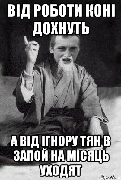 від роботи коні дохнуть а від ігнору тян в запой на місяць уходят, Мем Мудрий паца