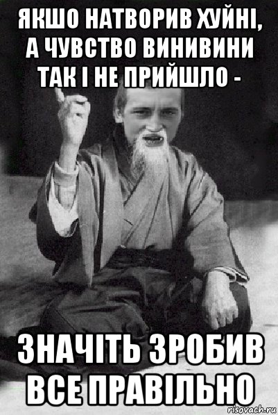 якшо натворив хуйні, а чувство винивини так і не прийшло - значіть зробив все правільно, Мем Мудрий паца