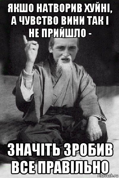 якшо натворив хуйні, а чувство вини так і не прийшло - значіть зробив все правільно, Мем Мудрий паца