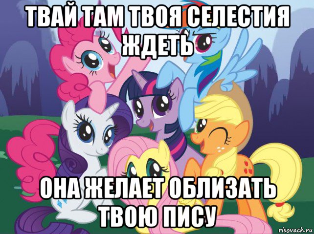 твай там твоя селестия ждеть она желает облизать твою пису, Мем My little pony