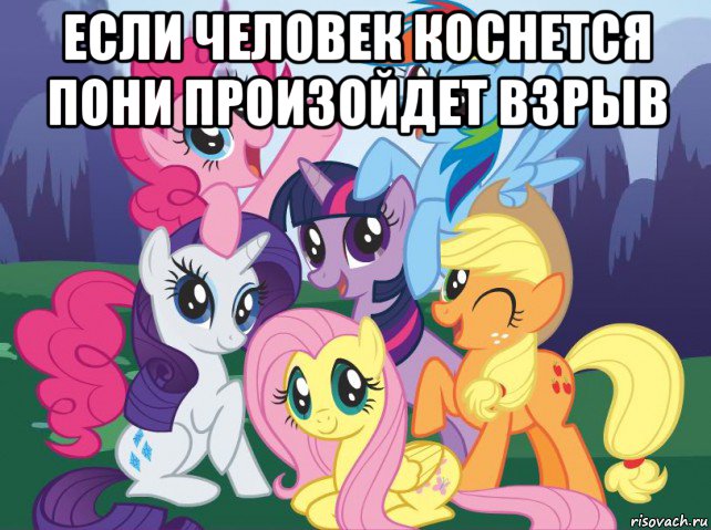 если человек коснется пони произойдет взрыв , Мем My little pony