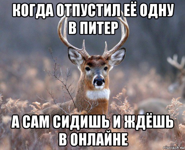 когда отпустил её одну в питер а сам сидишь и ждёшь в онлайне, Мем   Наивный олень