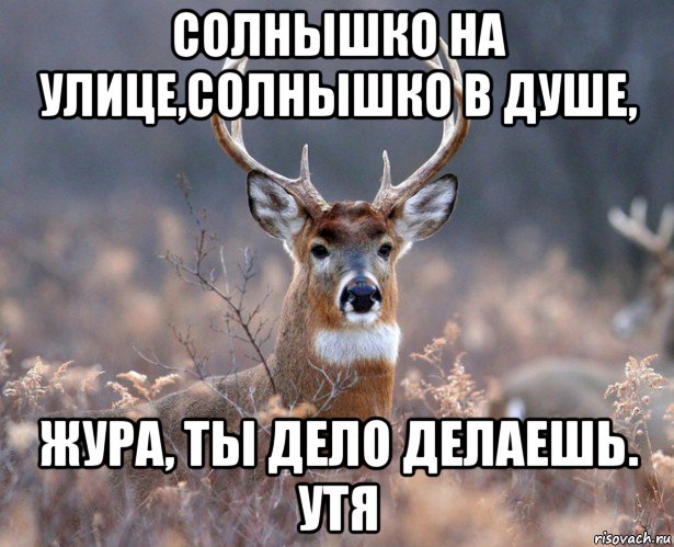 солнышко на улице,солнышко в душе, жура, ты дело делаешь. утя, Мем   Наивный олень