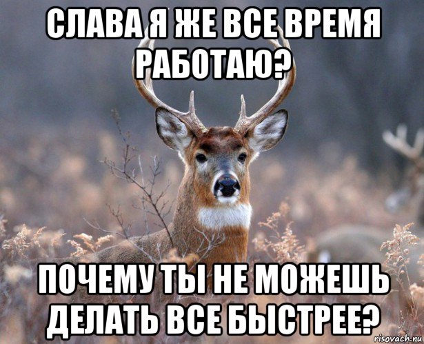 слава я же все время работаю? почему ты не можешь делать все быстрее?, Мем   Наивный олень