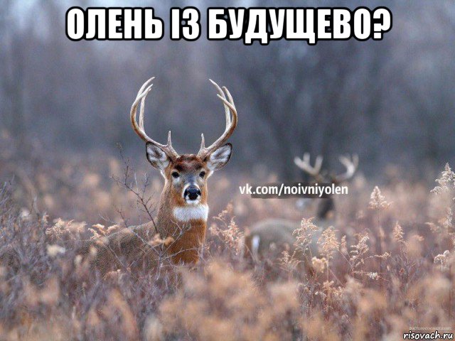 олень із будущево? , Мем Наивный Олень vk