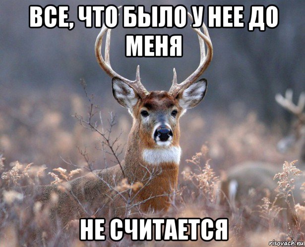 все, что было у нее до меня не считается