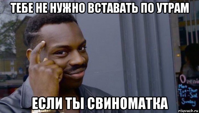 тебе не нужно вставать по утрам если ты свиноматка, Мем Не делай не будет