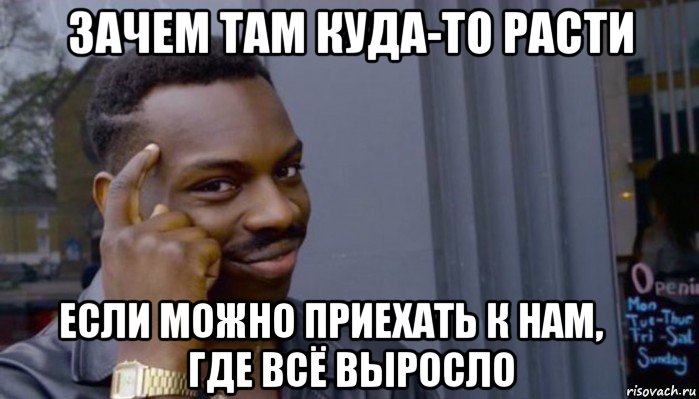 зачем там куда-то расти если можно приехать к нам,       где всё выросло, Мем Не делай не будет