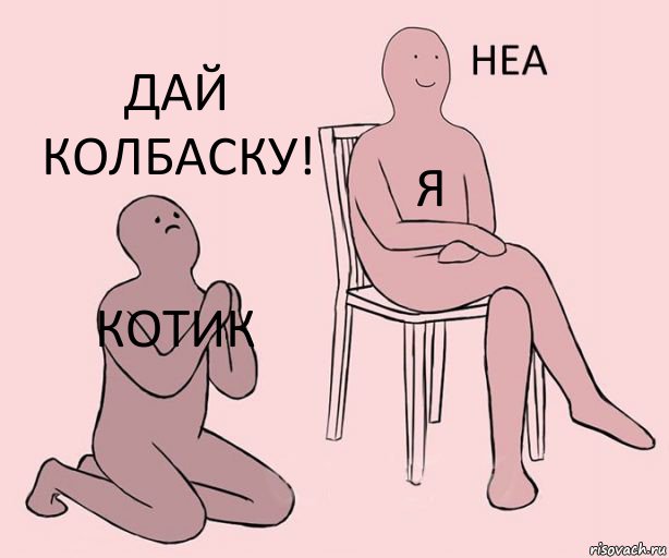 КОТИК Я ДАЙ КОЛБАСКУ!