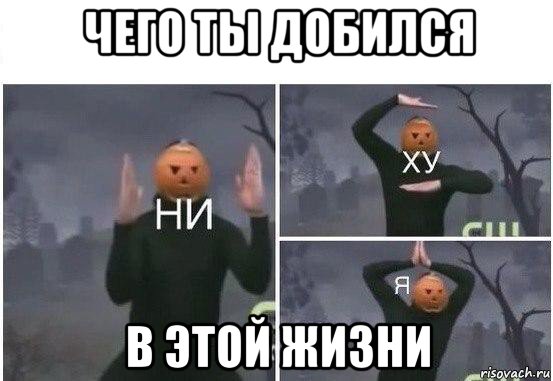 чего ты добился в этой жизни, Мем  Ни ху Я