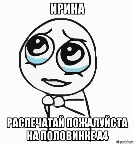 ирина распечатай пожалуйста на половинке а4, Мем  ну пожалуйста (please)