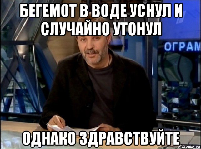 бегемот в воде уснул и случайно утонул однако здравствуйте