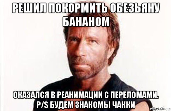 решил покормить обезьяну бананом оказался в реанимации с переломами. p/s будем знакомы чакки