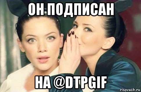 он подписан на @dtpgif, Мем  Он