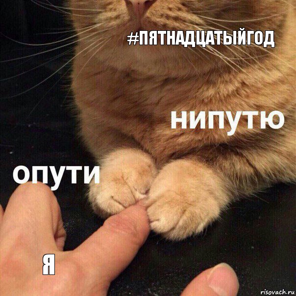 #пятнадцатыйГод я, Комикс Опути нипутю