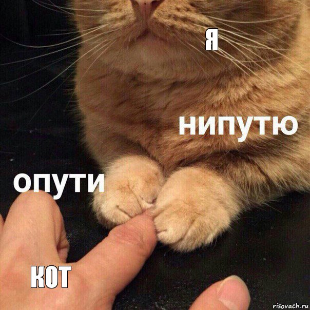 я кот, Комикс Опути нипутю