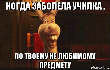 когда заболела училка , по твоему не любимому предмету, Мем Осел из Шрека