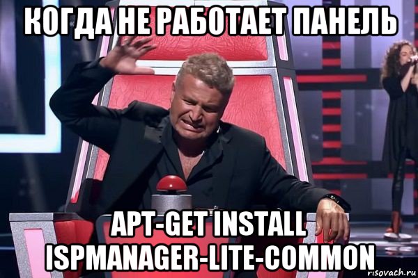 когда не работает панель apt-get install ispmanager-lite-common, Мем   Отчаянный Агутин