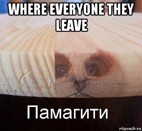 where everyone they leave , Мем   Памагити