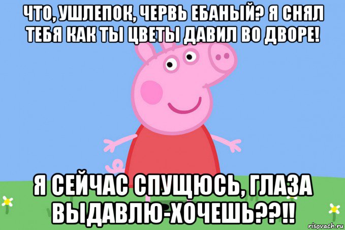 что, ушлепок, червь ебаный? я снял тебя как ты цветы давил во дворе! я сейчас спущюсь, глаза выдавлю-хочешь??!!, Мем Пеппа