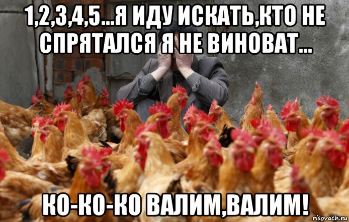 1,2,3,4,5...я иду искать,кто не спрятался я не виноват... ко-ко-ко валим,валим!, Мем Петухи