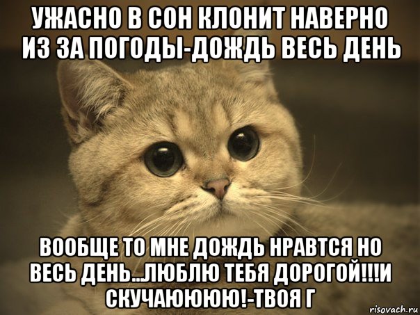 ужасно в сон клонит наверно из за погоды-дождь весь день вообще то мне дождь нравтся но весь день...люблю тебя дорогой!!!и скучаюююю!-твоя г, Мем Пидрила ебаная котик