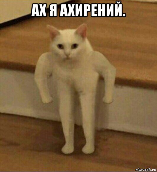 ах я ахирений. , Мем  Полукот