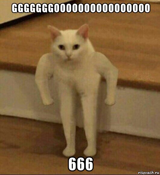 gggggggoooooooooooooooo 666, Мем  Полукот