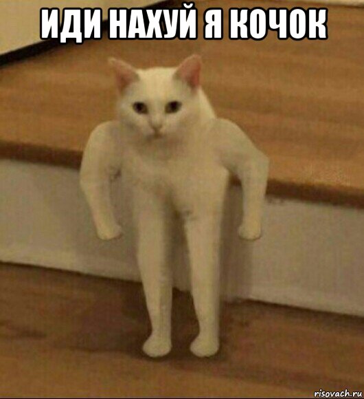 иди нахуй я кочок , Мем  Полукот