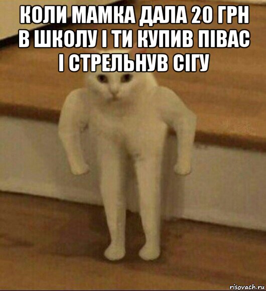 коли мамка дала 20 грн в школу і ти купив півас і стрельнув сігу , Мем  Полукот