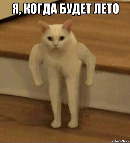 я, когда будет лето 