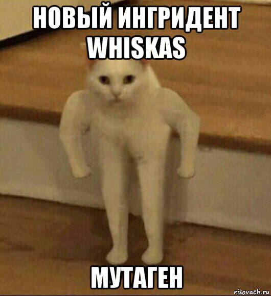 новый ингридент whiskas мутаген, Мем  Полукот