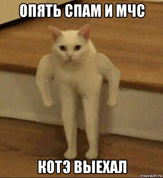 опять спам и мчс котэ выехал, Мем  Полукот