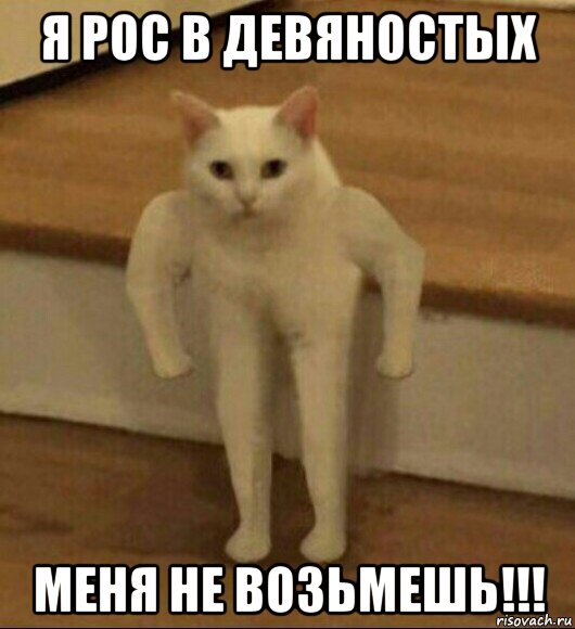 я рос в девяностых меня не возьмешь!!!, Мем  Полукот