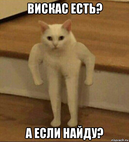 вискас есть? а если найду?