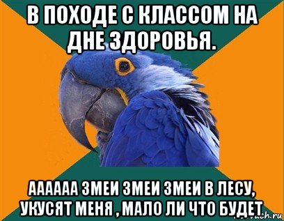 в походе с классом на дне здоровья. аааааа змеи змеи змеи в лесу, укусят меня , мало ли что будет, Мем Попугай параноик