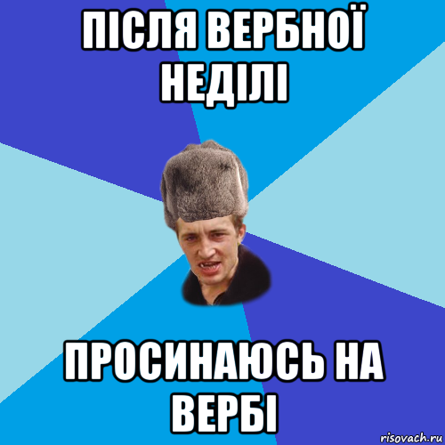 після вербної неділі просинаюсь на вербі, Мем Празднчний паца