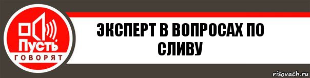 Эксперт в вопросах по сливу, Комикс   пусть говорят