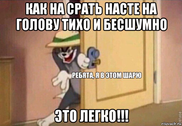 как на срать насте на голову тихо и бесшумно это легко!!!, Мем    Ребята я в этом шарю