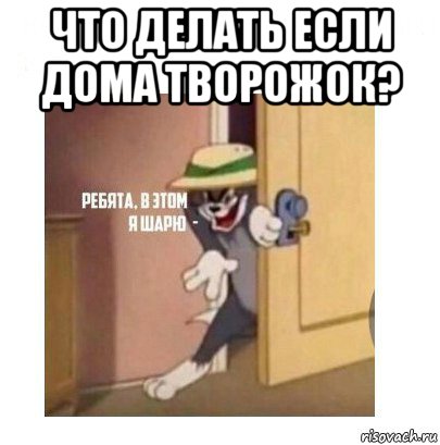 что делать если дома творожок? , Мем Ребята я в этом шарю