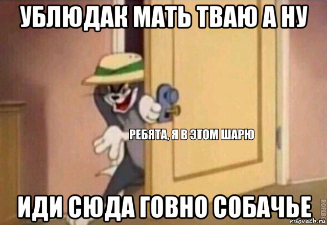 ублюдак мать тваю а ну иди сюда говно собачье, Мем    Ребята я в этом шарю