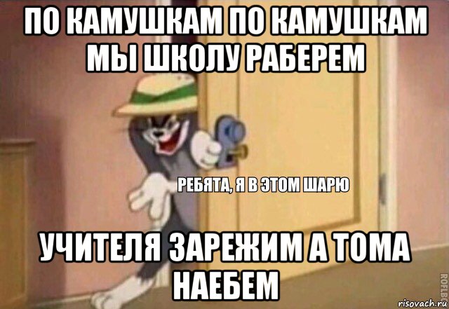 по камушкам по камушкам мы школу раберем учителя зарежим а тома наебем, Мем    Ребята я в этом шарю