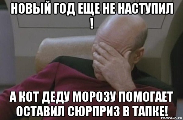 новый год еще не наступил ! а кот деду морозу помогает оставил сюрприз в тапке!