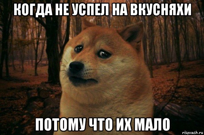 когда не успел на вкусняхи потому что их мало, Мем SAD DOGE