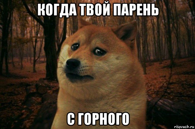 когда твой парень с горного, Мем SAD DOGE